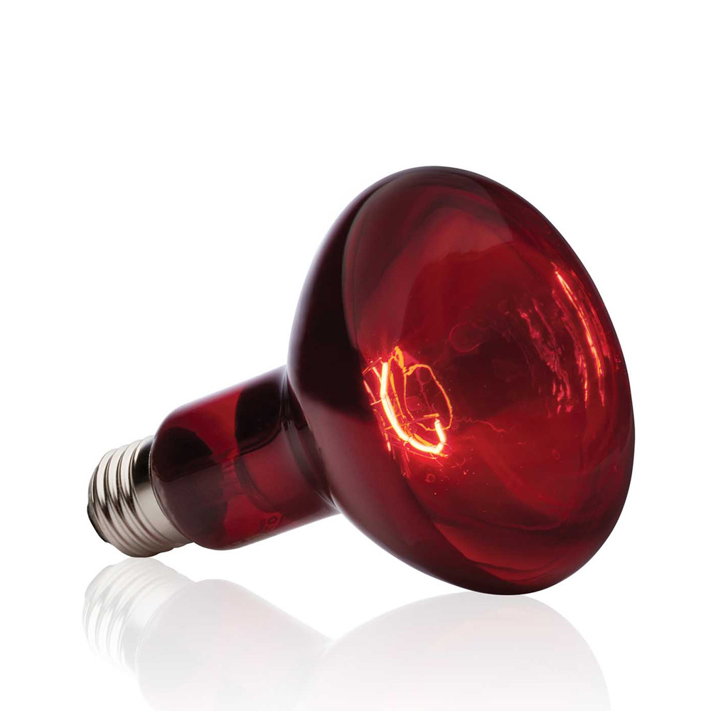 Exo Terra Infrared Basking Spot 150W Czerwona Żarówka Grzewcza